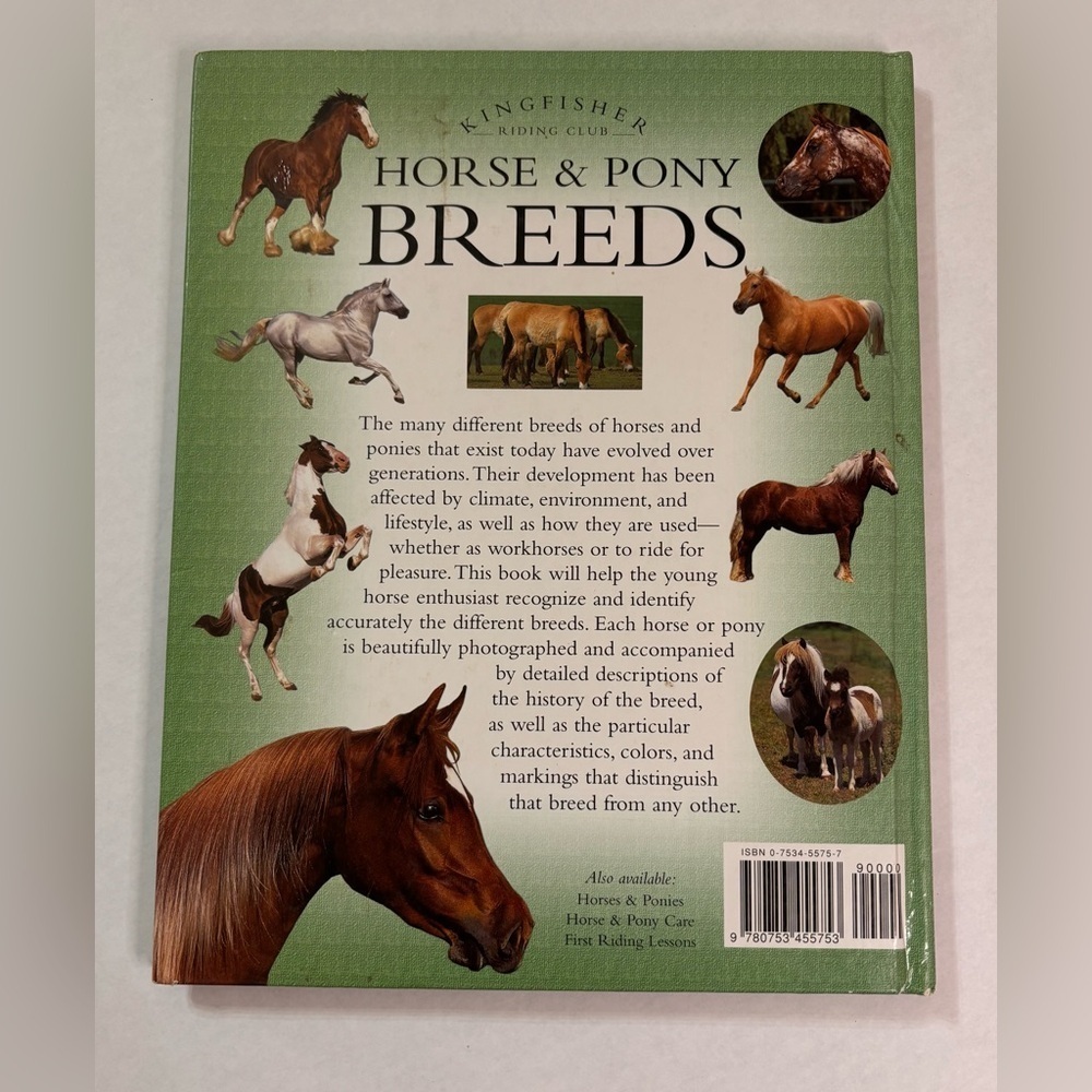 Kingfisher Riding Club Horse & Pony Breeds Book - Picture 3 of 9